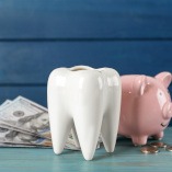 A ceramic model of a tooth, a piggy bank, and money on a light blue wooden table